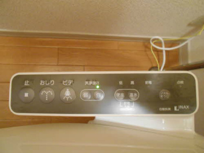 EVER GREEN 101 画像6