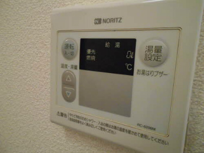 EVER GREEN 101 画像8