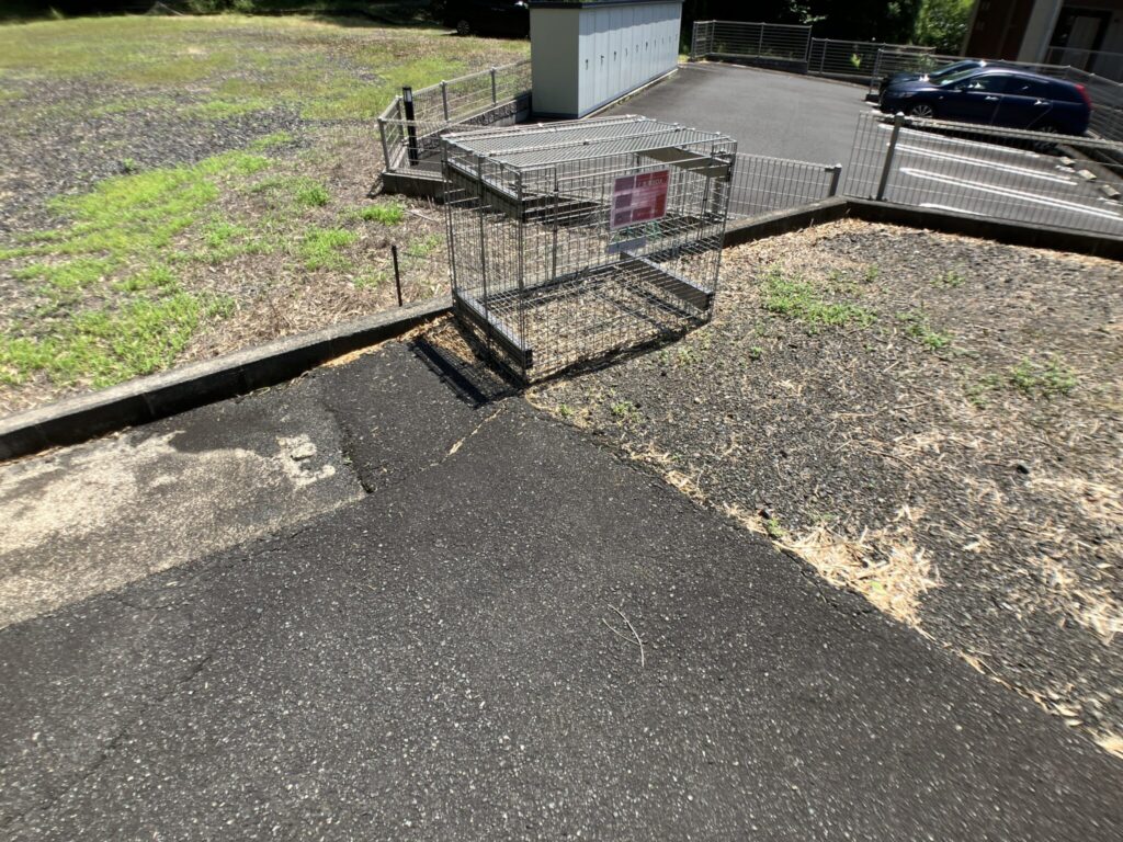 コーポＹ&Ｙ 205号室 画像21