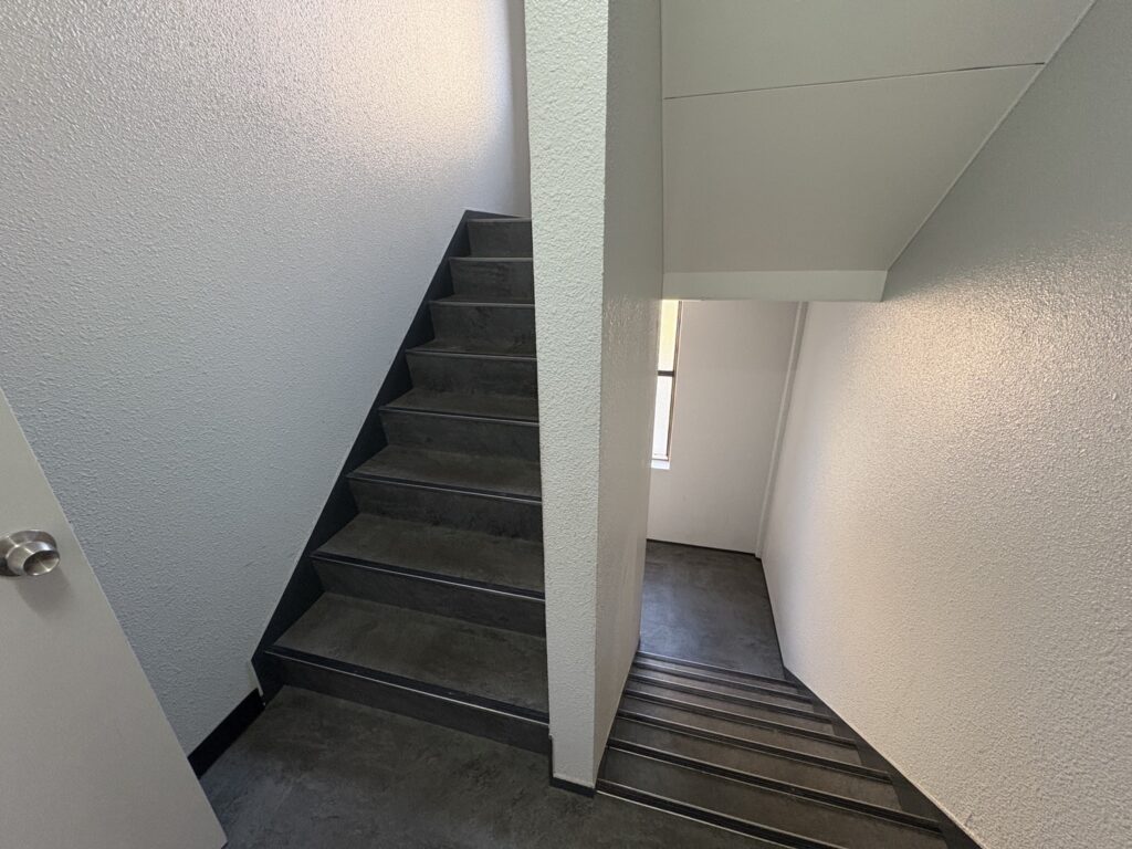 アマデウス 画像9