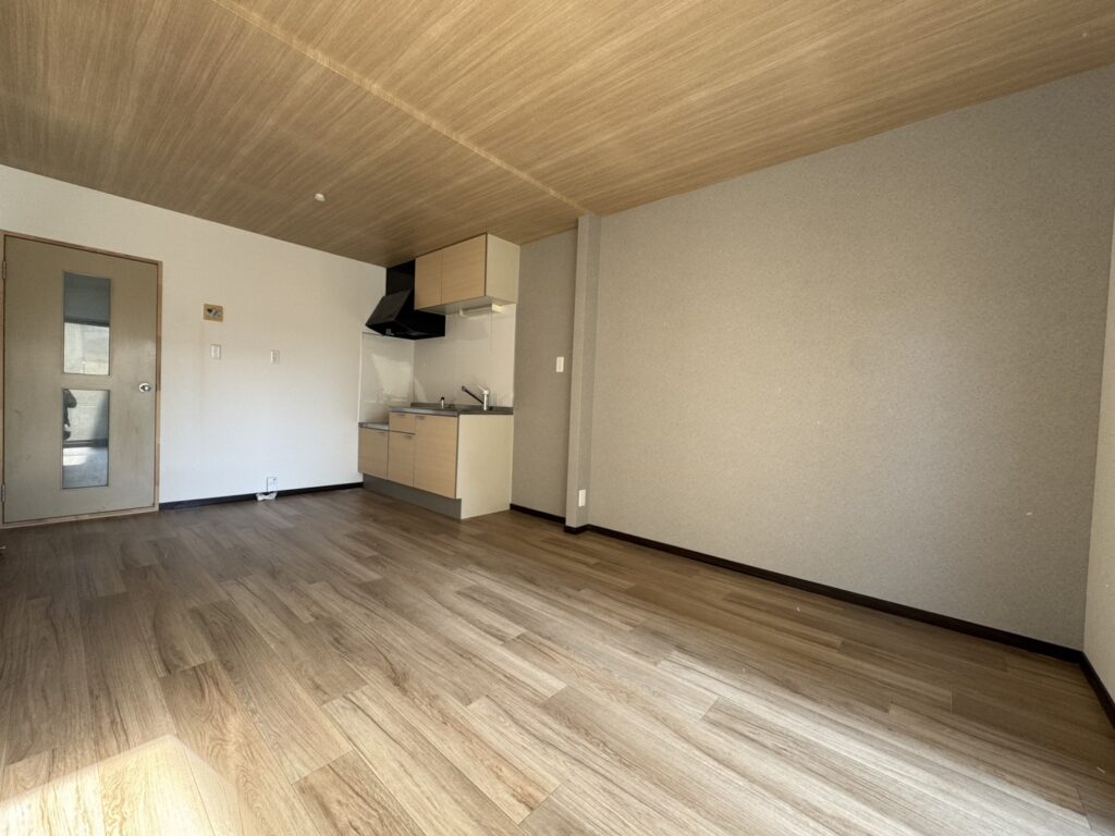 Domus（ﾄﾞﾑｽ）102（室内改装済） 画像10