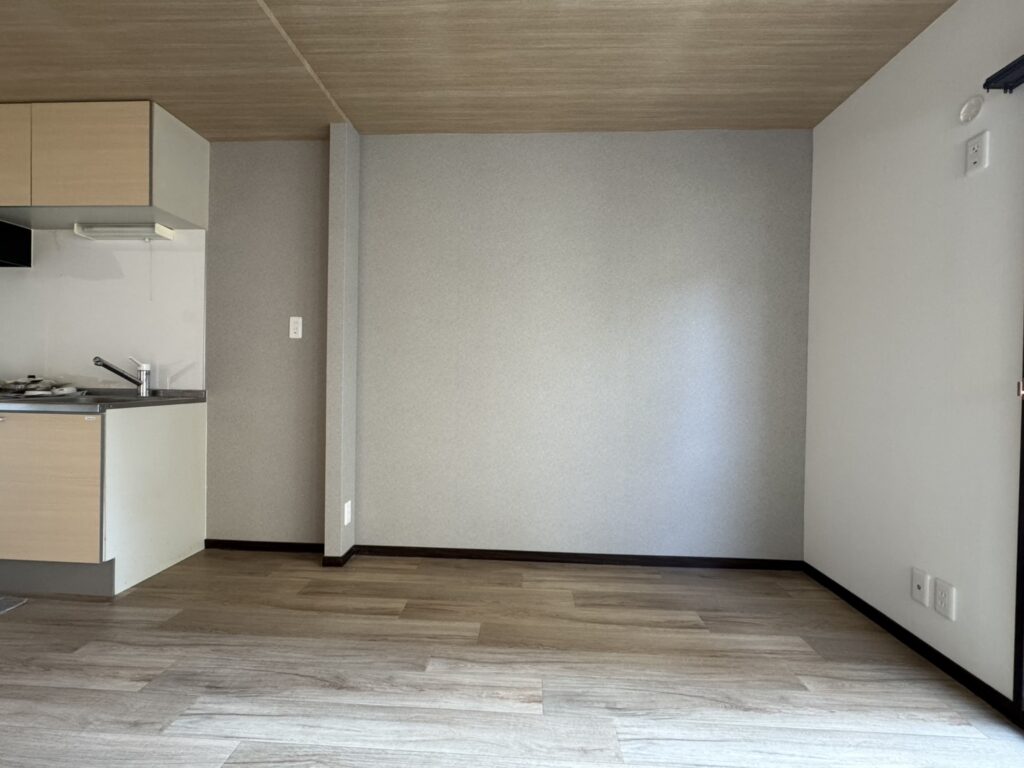 Domus（ﾄﾞﾑｽ）102（室内改装済） 画像14