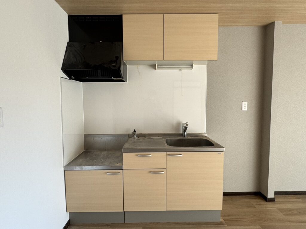 Domus（ﾄﾞﾑｽ）102（室内改装済） 画像7