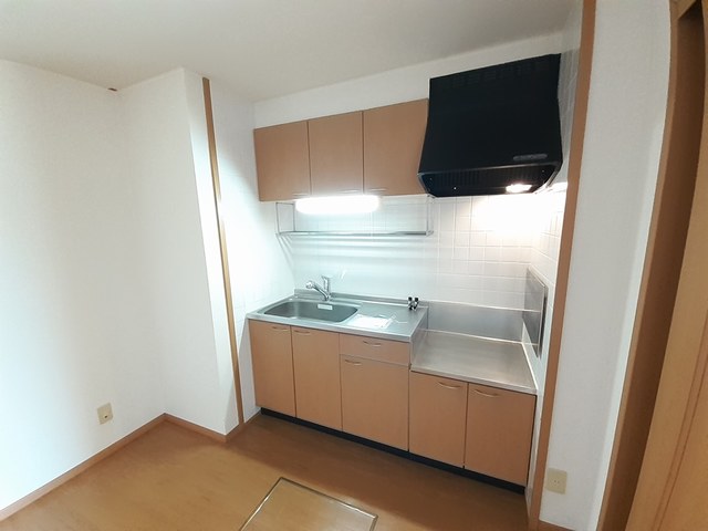 パパイヤプレースA 101号室 画像11