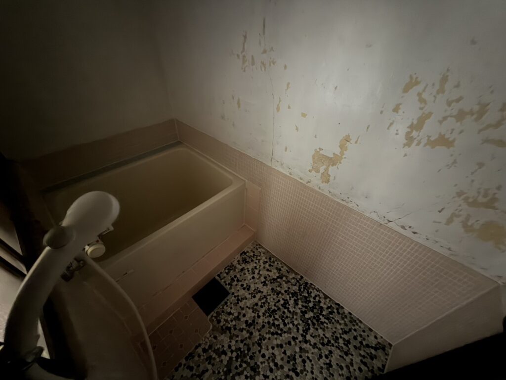 松陰連棟貸家2号(右側) 画像18 松陰連棟貸家2号(右側) 画像18