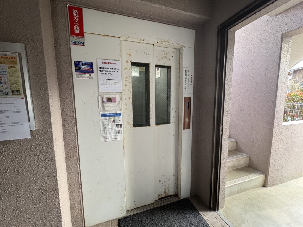 アマデウスⅤ 画像7 アマデウスⅤ 画像7