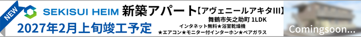 アヴェニールアキタⅢ