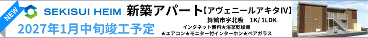 アヴェニールアキタⅣ