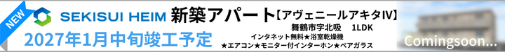 アヴェニールアキタⅣ